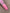c34bc07bfcef4eba0a049df6aabd3656