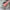 ab5570385571c27cded6f779b102b556