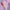 2c7e9f83ee9caad2ca42187207f60bfa