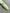 f447698d0a1d3381df41a8ff9da20f8b