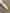 d24adde483cb93ff5de4ef468039b6be