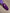 0e0d868ea725dec3ff646dc20ff73fed