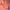 bec3d0cebb575638b5b5a9a15005773f
