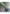 99151329b3606e96565fb781e31f9f2b