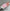 3726d9d9bf56c53c683e7aea5cd00b14