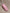 0a0e4d169ba094d3b289ce40383d442a