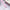 NAILSOFTHEDAY Color of the month February 2026 Blush