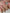 d8f4a5500fa88963a3b981dbed34cd87