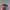 d71eb3fc7b81c1e5ec0c849cb30f9002