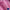 85c9d5d3ac583f970d21844b4e5a0d85