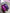 c546e6411c3e7995bd408aec6019eeee