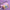 68695dbea8592a3980b761bd944f04c1
