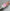 7acc445774b0cb7c1543eee6ca5e98e8