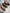 7446ecd1ebc254e373b92a1c48a7cb2e