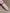 9c77aa8235787d5416674265a25ac39e