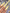 69ae24ac4d577cbb321f8650eaeffe8e