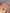 92753ea3f1e14f3e8588d0a9a581a8c0