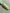 5892fa51647126340cc5e41d39c809e6