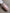 a48eba0bdbf25b9c404d695d1c9223a6