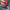 1fd9ac14424c4369d70e876e21c2def4