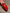 08b7291a8640210067d2e5877744f544