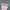 504d4934fcc33d757e927f9df3a3e716