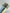 a25b1b008ffc62503a14bd19a0a8d5cf