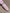 835a7593c473dca8cf460380a7731dd4