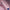 e98d34cdff277a1bc805dc7f60d6e2c4
