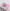 6ba9a451b205bb7287669dd37cb76780