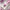 NAILSOFTHEDAY Color of the month February 2026 Blush