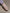 723b9f5c3fad0a4ed3290a303865dcb2