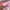 NAILSOFTHEDAY Color of the month February 2026 Blush