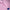 8169500e2be6df3e97d9d5494a84a47e