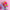 e13cd55c339405119fe5e3f469fae1a6