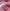 cef148a5c59263ce008742838e3dcc59