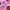 5ec17205b0bc8fd1848d9041d02d2473