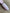 27887e52a2f822e39129d4504e28d0b3