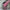 ff86620ab5e69050eb2f285d41bc209e