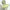 da5d50b1170f746a76ab5083d2df8335