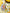 96475b423ebf8e4d519ccc5e5c3a61f2