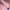 e1a31432a5b0d4ae6ab23499ce2a2c49