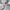 0d8e5308ea062a2ef69716f5a571760a