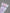 a685d89797dd99449e44c66e703e33e7