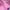 84f0a125d4d84a193529162829ed1a6a