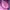 5ba5981ce131f55d38cdf08f96946f6a