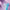 f767dd5dfe9c77df7a1b28e8d41bdd46