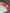 203139b3b62bce83d16ce69ea57a9391
