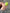 c38311895c65f291860484834b73278f