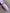 b7444ec253dbdc0c35049ad7c6c5080e